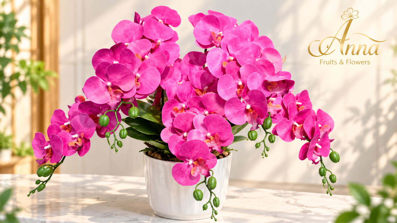 Hoa hồng hoa nhập khẩu và lan hồ điệp 20/10