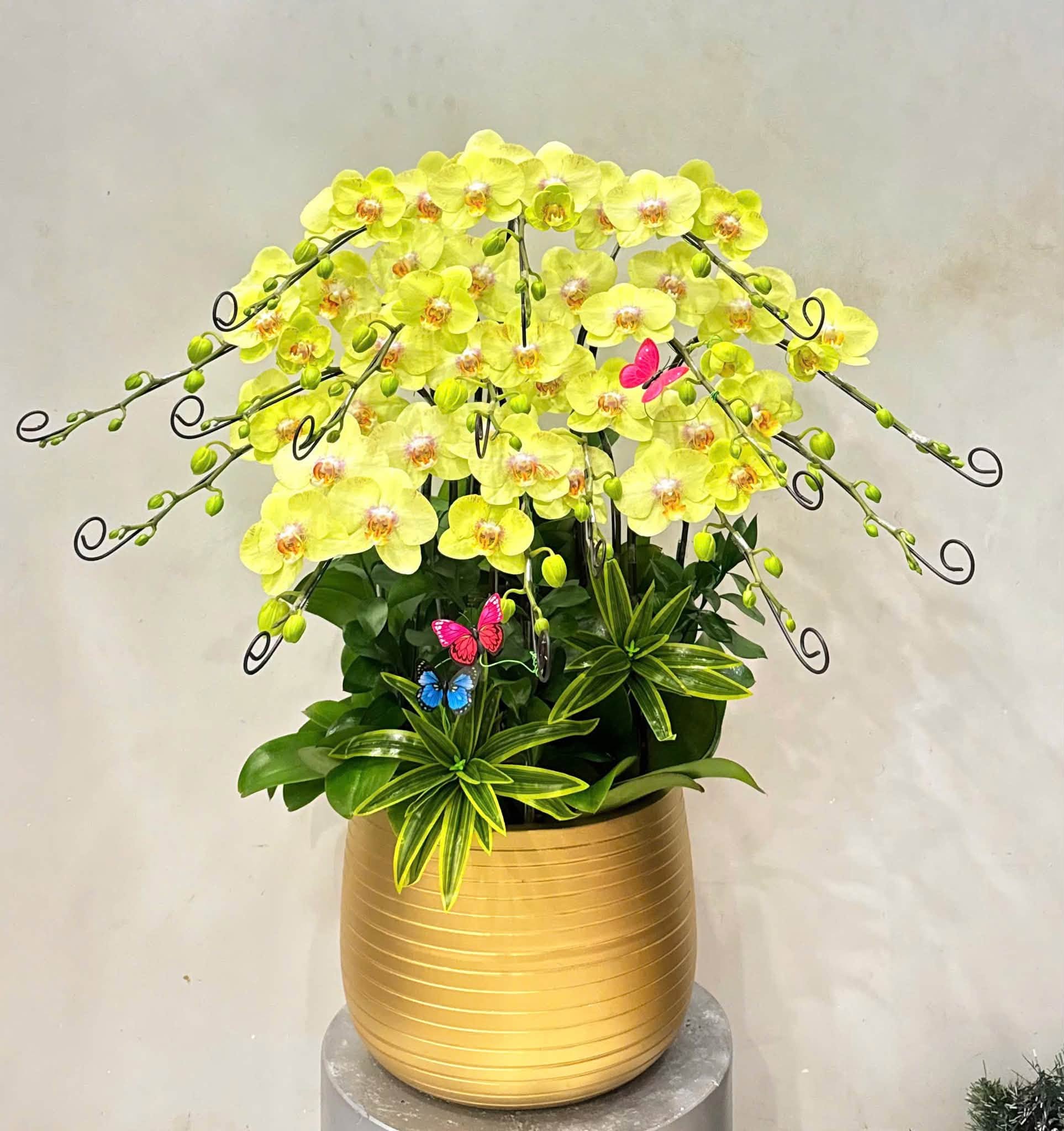 hoa tươi giá rẻ ở quận Tân Phú HCM